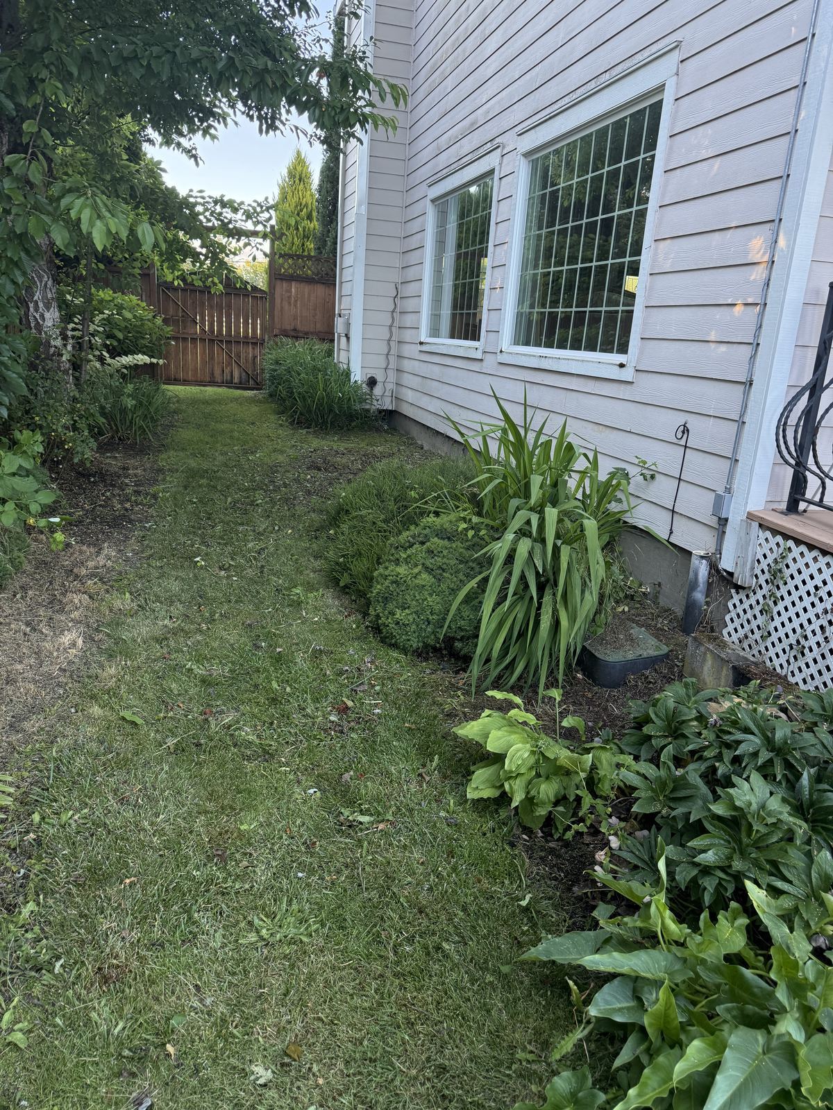 Side yard planting bed cleared of weeds