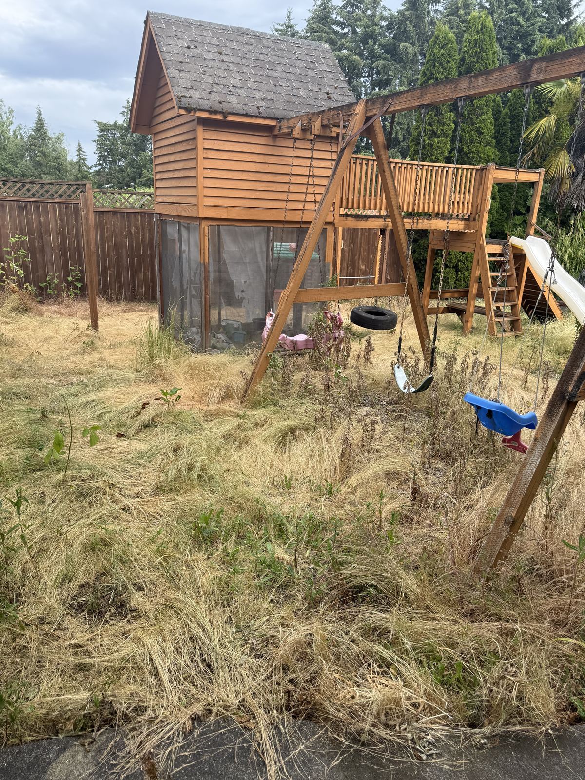 Overgrown dead grass around a backyard play structure before cleanup